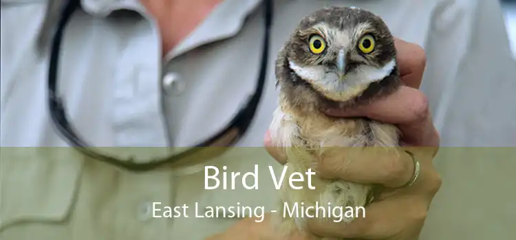 Bird Vet East Lansing - Michigan