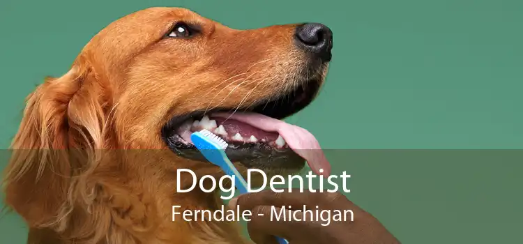 Dog Dentist Ferndale - Michigan