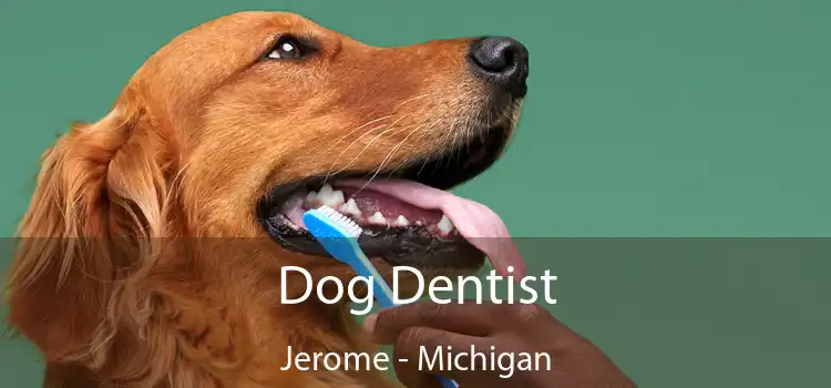 Dog Dentist Jerome - Michigan