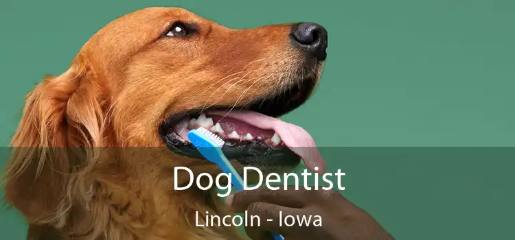 Dog Dentist Lincoln - Iowa