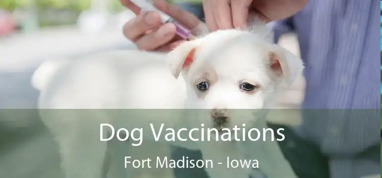 Dog Vaccinations Fort Madison - Iowa