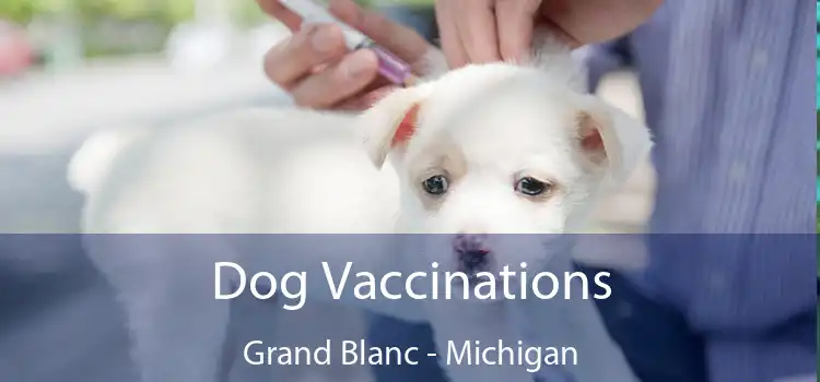 Dog Vaccinations Grand Blanc - Michigan