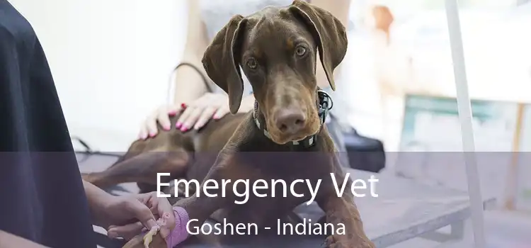 Emergency Vet Goshen - Indiana