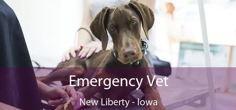 Emergency Vet New Liberty - Iowa