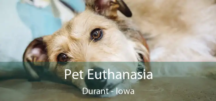 Pet Euthanasia Durant - Iowa