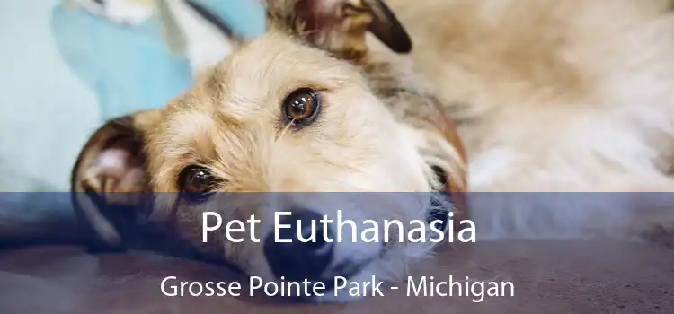 Pet Euthanasia Grosse Pointe Park - Michigan