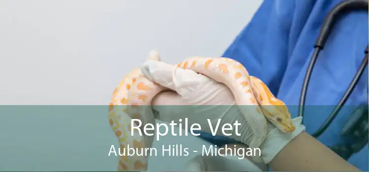 Reptile Vet Auburn Hills - Michigan