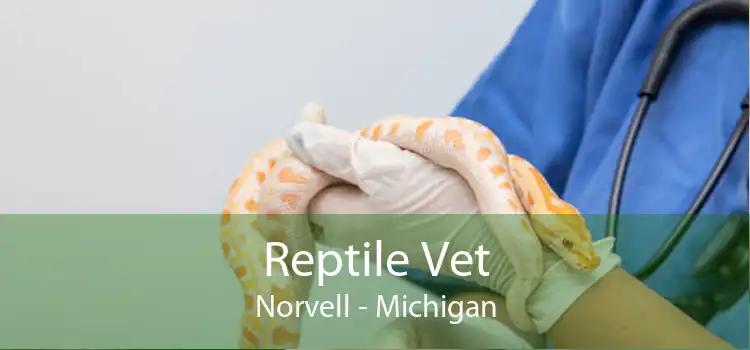 Reptile Vet Norvell - Michigan