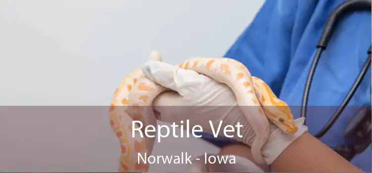 Reptile Vet Norwalk - Iowa