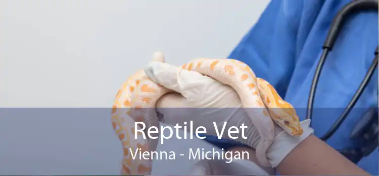 Reptile Vet Vienna - Michigan