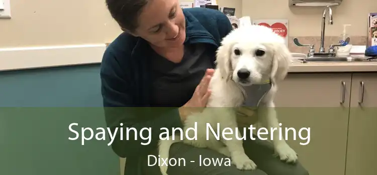 Spaying and Neutering Dixon - Iowa