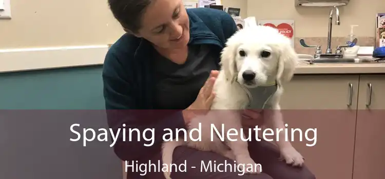 Spaying and Neutering Highland - Michigan